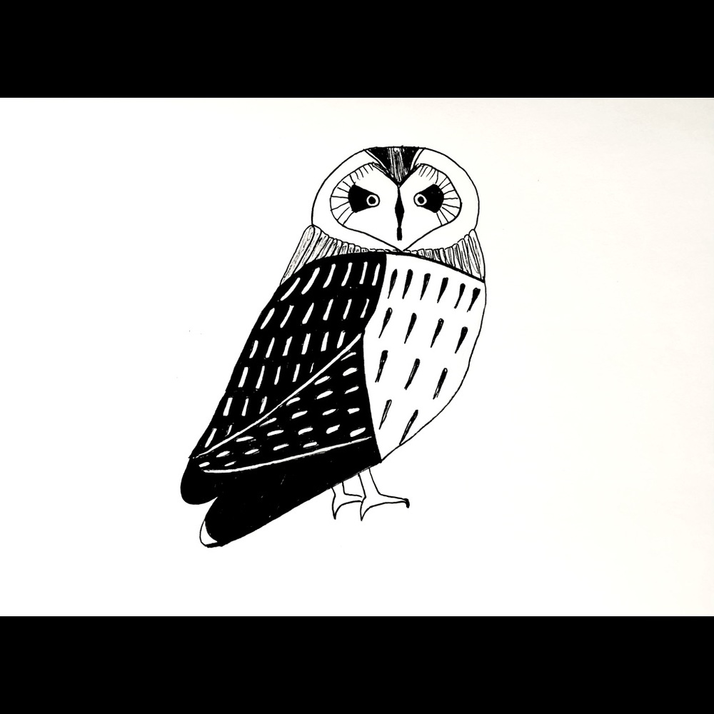 Hand-drawn Montessori wall art high contrast black & white baby prints